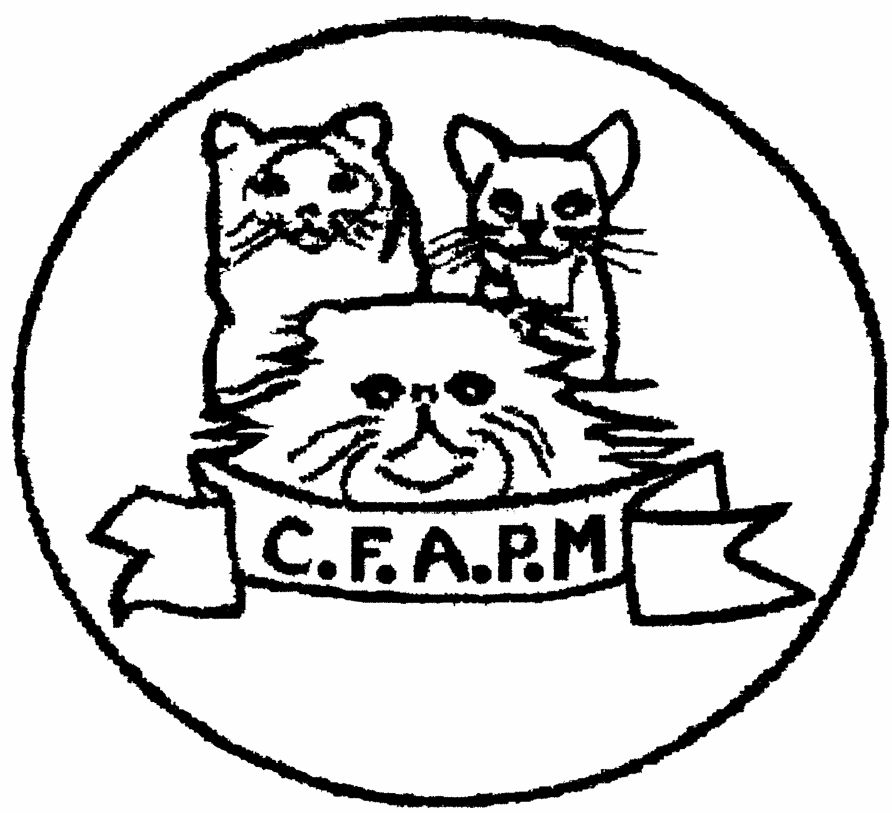 Logo CFAPM